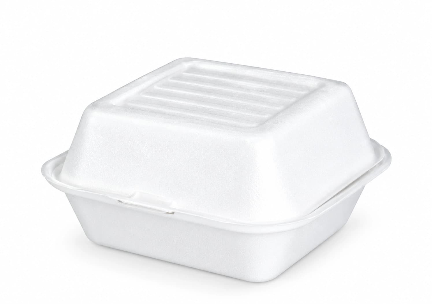 Bagasse Packaging 1