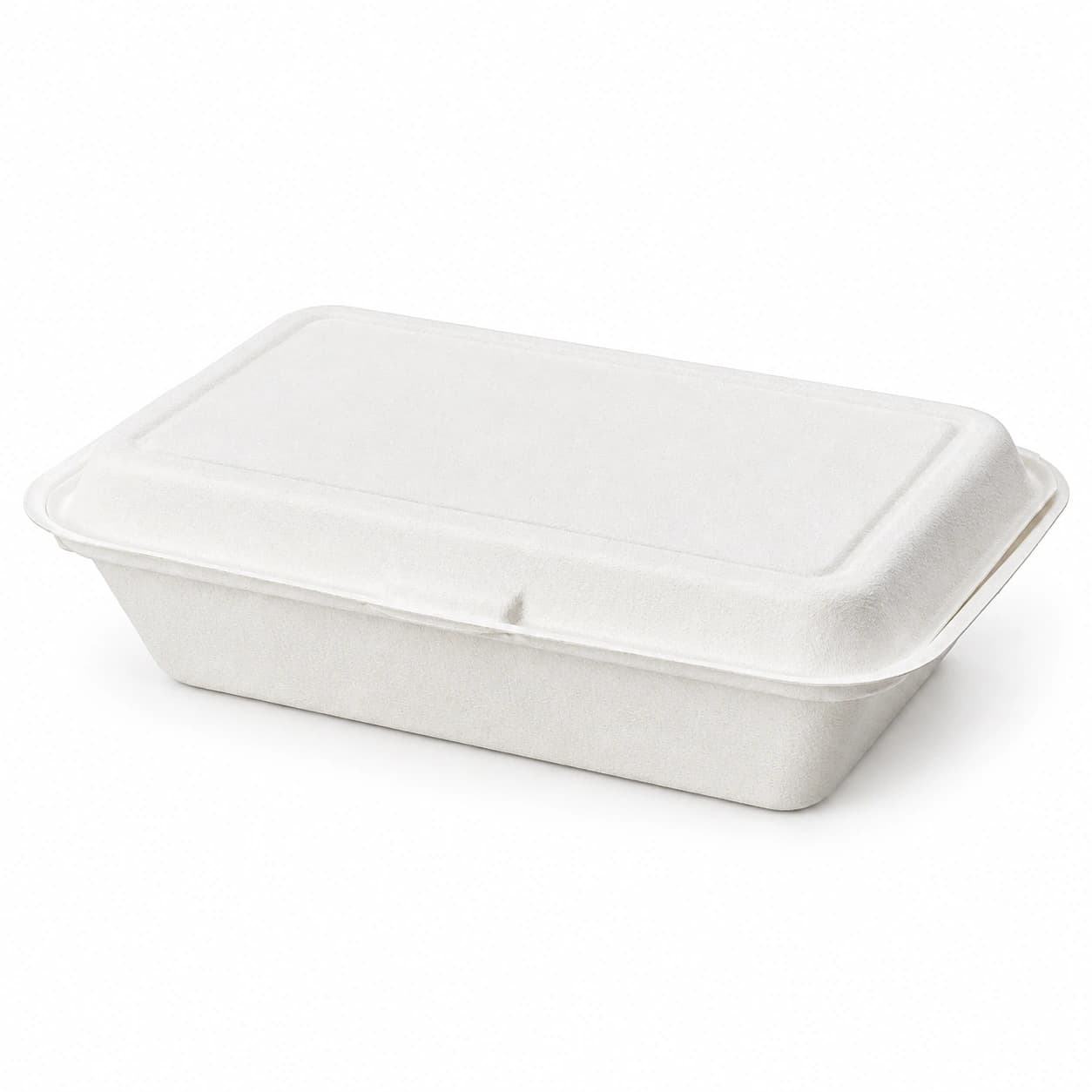Bagasse Packaging 2